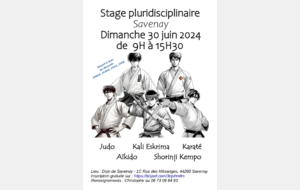 Stage pluridisciplinaire au Dojo de Savenay